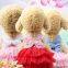 Clothes for a small dog personalized pet clothes