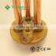 24V Electrical Water Heating Immersion Heater