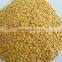 2016 hot sale Lucao 6FZ-B 500-650kgs per hour multifunctional lentil peeling machine                        
                                                Quality Choice
