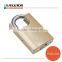 High Security Shackle Protected Brass Padlock