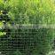 plant climbing netting
