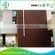 High Quality Outdoor Wood Plastic Composite WPC Wall Panel