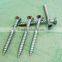 cross head stainless steel wood screw