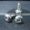DIN7981 Pan Head Self-tapping Screw