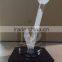 new custom design acrylic awards and trophies/decoration