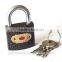Russia Weatherproof plastic plated black iron padlock                        
                                                Quality Choice