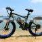 Haoling Hot sale EN15194 fat tire electric bike