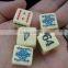 plastic16mm Poker Dice Set,10 sides custom color dice