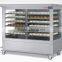 Food Display Warmer showcase Applied for Electric