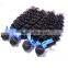 Wholesale Brazilian human virgin hair water wave clip in hair extension