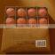 china manufacter high quality pool floating candle scented