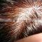 virgin indian hair toupees for black men
