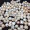 Wholesale Natural Fresh Water Peal Crystal Bead