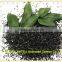 coconut shell activated carbon price per ton for water treatment
