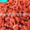 Chinese ningxia province origin red goji berry