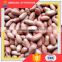 China Hot-Selling Organic Roasted Red Skin Peanuts