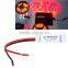Hot Sale Good Price 12V Red and Black Wire Mini Led Amplifier