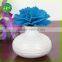 Ceramic bottle AP130ml Aroma flower Reed diffuser