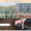 fertilizers for root fertilizer benefits root