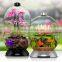 Good lucid fashionable high quality acrylic fish tank factory wholesale