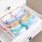 Underwear Bra Plastic Storage Box, Bedroom Chest Divider, Jewelry Makeup Storage Case Box Organizer