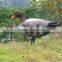 Foam material Shooting goose target