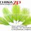 ZPDECOR No.1 Supplier in China Factory Dyed Pale Green Exporting Wholesale from 6'' to 8'' Ostrich Feathers for Sale