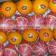 High quality Egyptian Orange