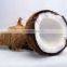 Desiccated coconut big shavings, high quality by HAGIMEX