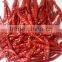 Best Quality Indian Red Chilli Exporters