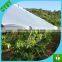 120gsm transparent/light blue woven pe greenhouse film/pe film