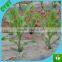 Transparent clear plastic perforated mulch film