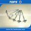 china umbrella head roofing nails