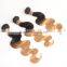 Wholesale 1B/27 Ombre Hair Weaves Body Wave Blonde Virgin Malaysian Human Hair Extension