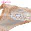 Stylish Hot Sex Transparent Lace Panty C String Sexy Underwear Women
