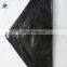 OEM Factory China PE Tarpaulin Sheets