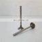 Hot Sale K19 Diesel Engine Spare Parts Exhaust Valve 3035110