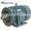 IE2/IE3 Three Phase construction Squirrel Cage Fan Induction Electric Motor
