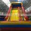 Outdoor High Quality Shark Double Lane Inflatable Slide Inflatable Mini Playground Water Slide For Sales