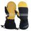 HANDLANDY Water Repellent High Quality Ski Gloves Snowboard,Waterproof insulate Outdoor Sports Gloves and Mitten