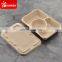 2 Compartment Biodegradable Takeaway Food Box With Plastic Lid