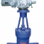 Slurry Valve