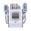 2022 korea portable cryolipolysis fat freezing body cryolipolysis 360 5 en 1cryolipolysis freeze fat cavitation rf body shaping