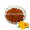 Factory Directly Provide Lutein(African Marigold) Extract powder Marigold Extract