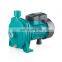 Cast Iron Twin-Impeller 750w 1 inch Self Priming Centrifugal Water Pump