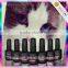 gel nails cat eye color gel nail polish
