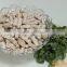 tissue protein food processing machine/vegetarian meat chunks machine                        
                                                Quality Choice