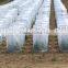 pe net for greenhouse anti insect