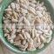 sunflower seeds kernels for birds