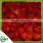 Frozen strawberry wholesale in bulk